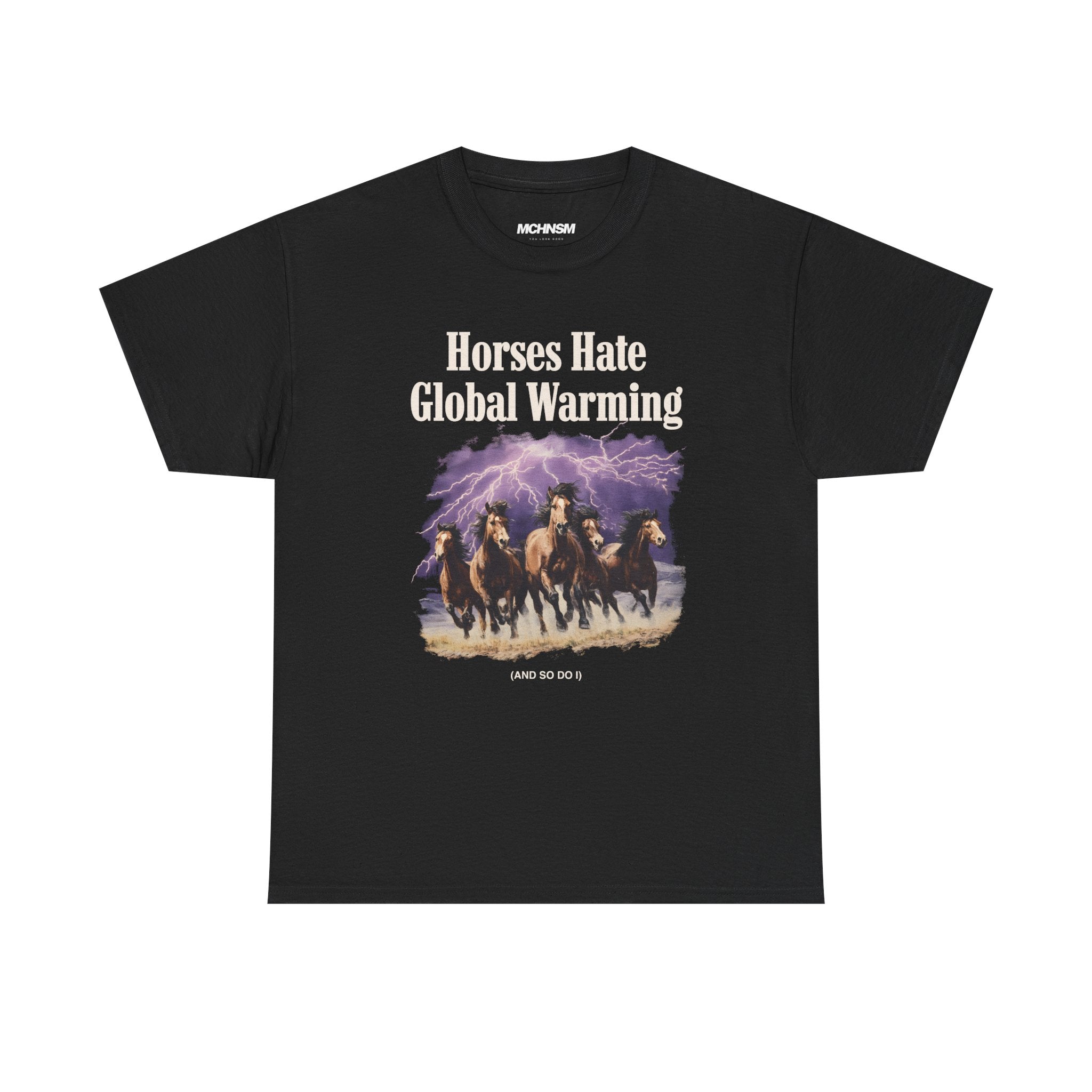 T61 / Horses