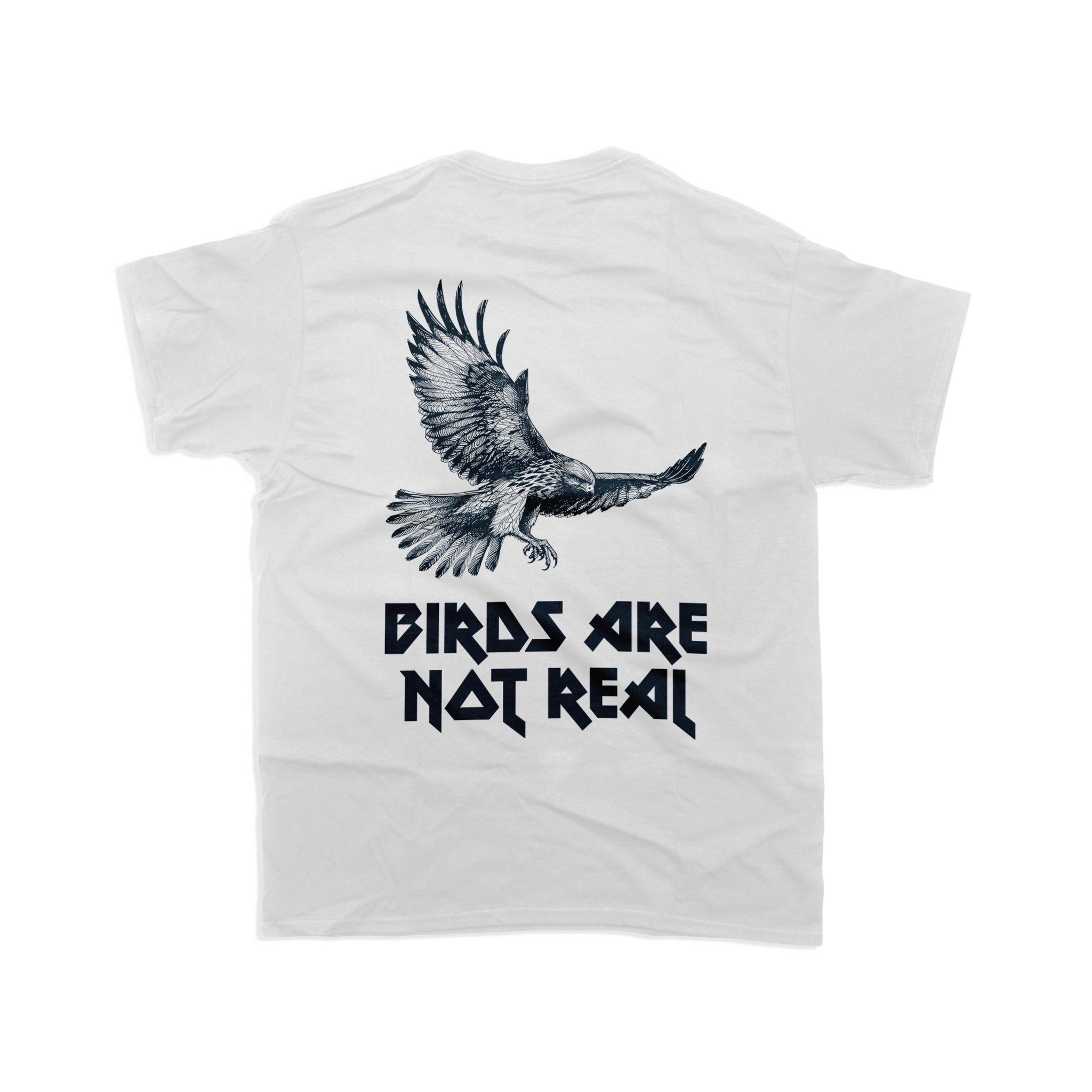 T65 / Birds are not real
