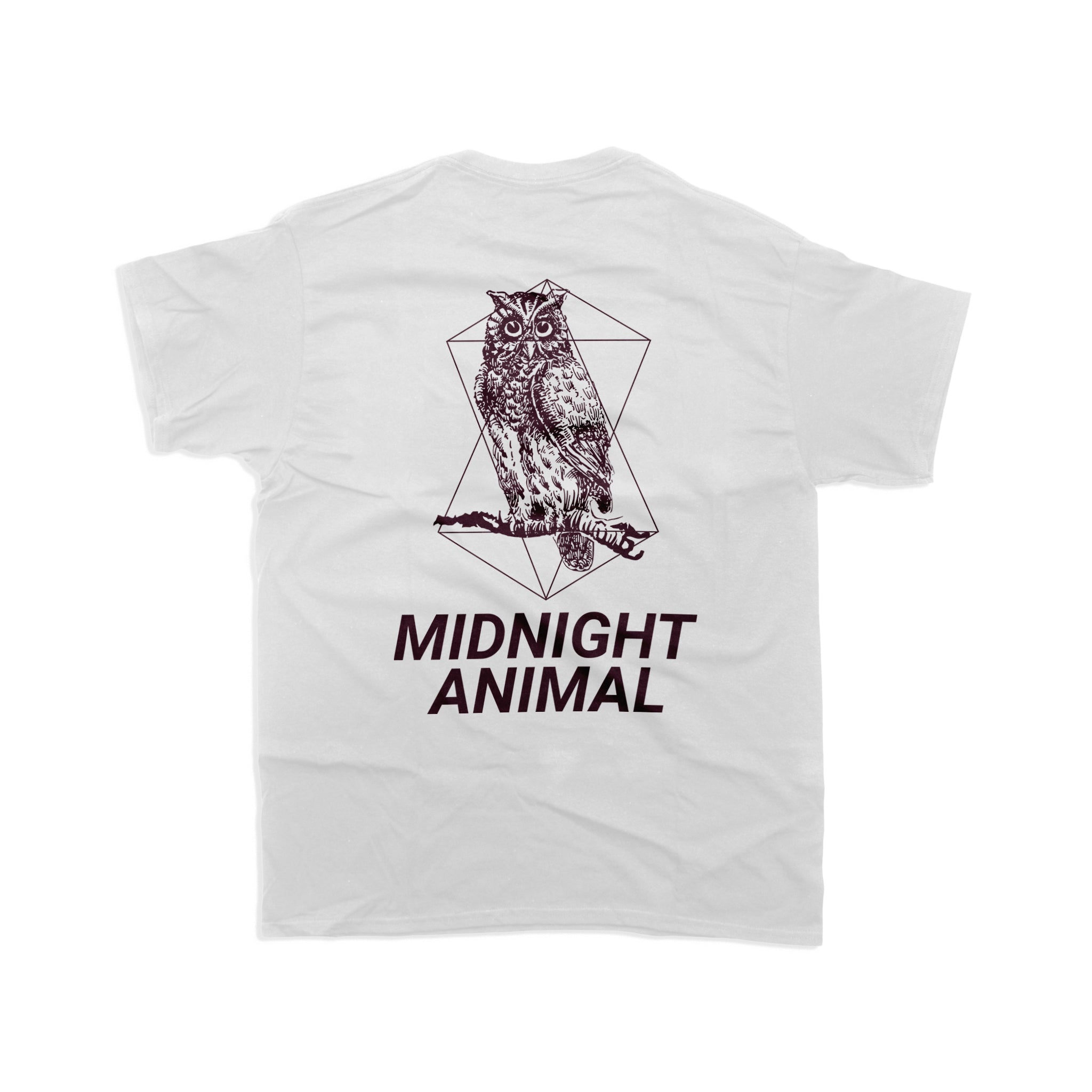 T18 / Midnight Animal