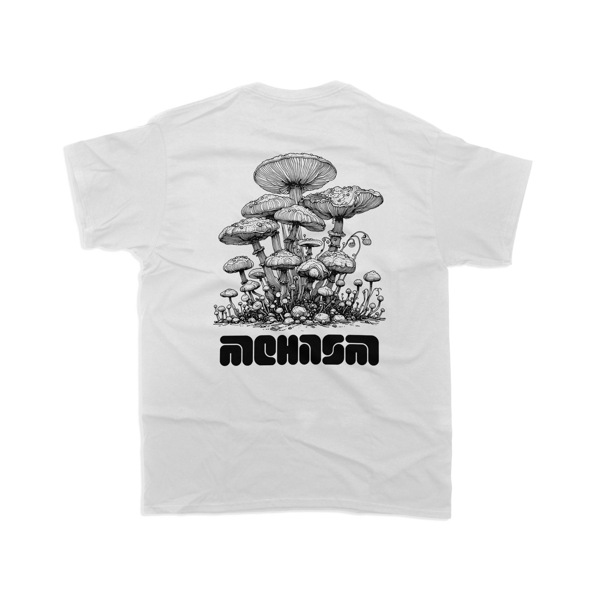 T80 / Mushroom