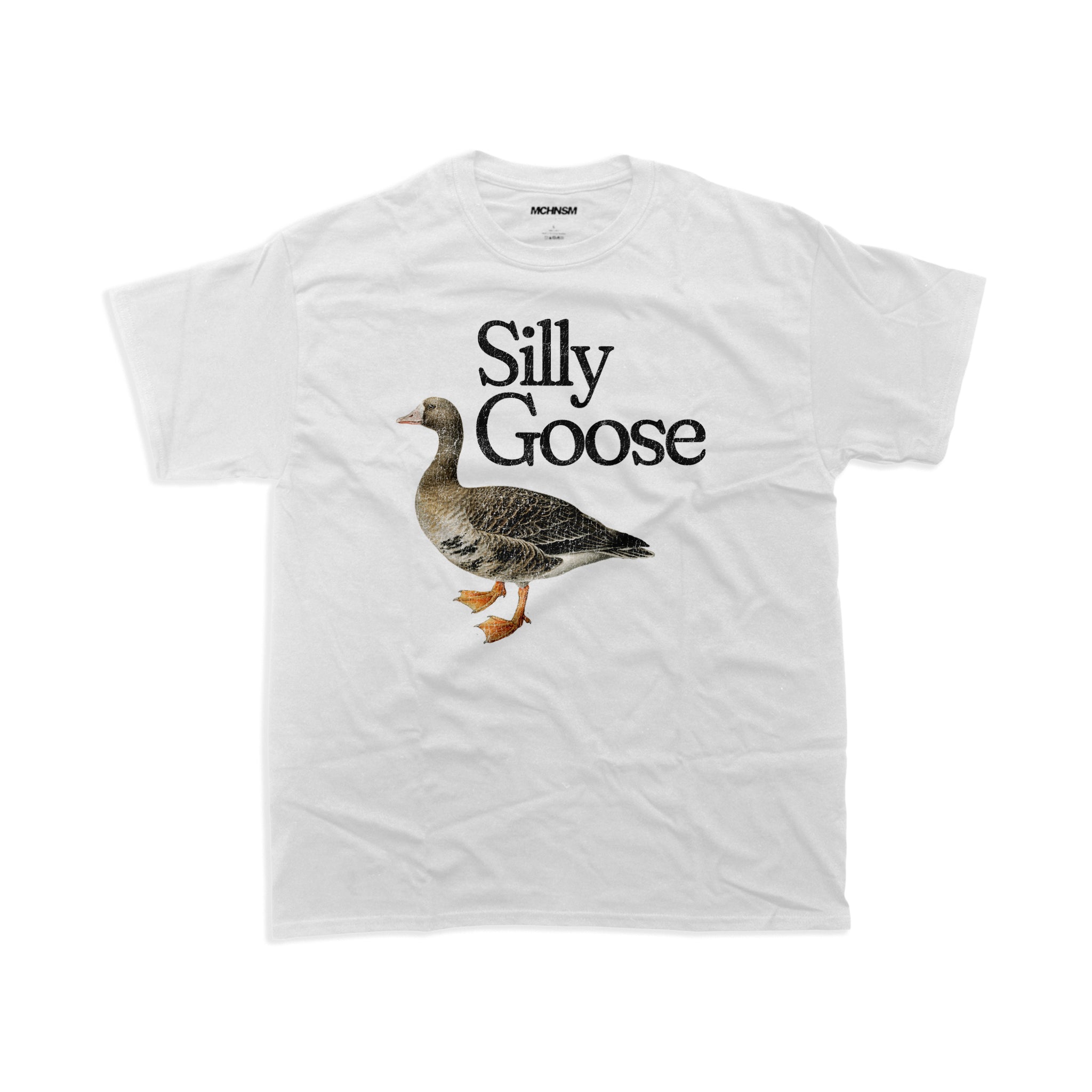 T137 / Silly Goose