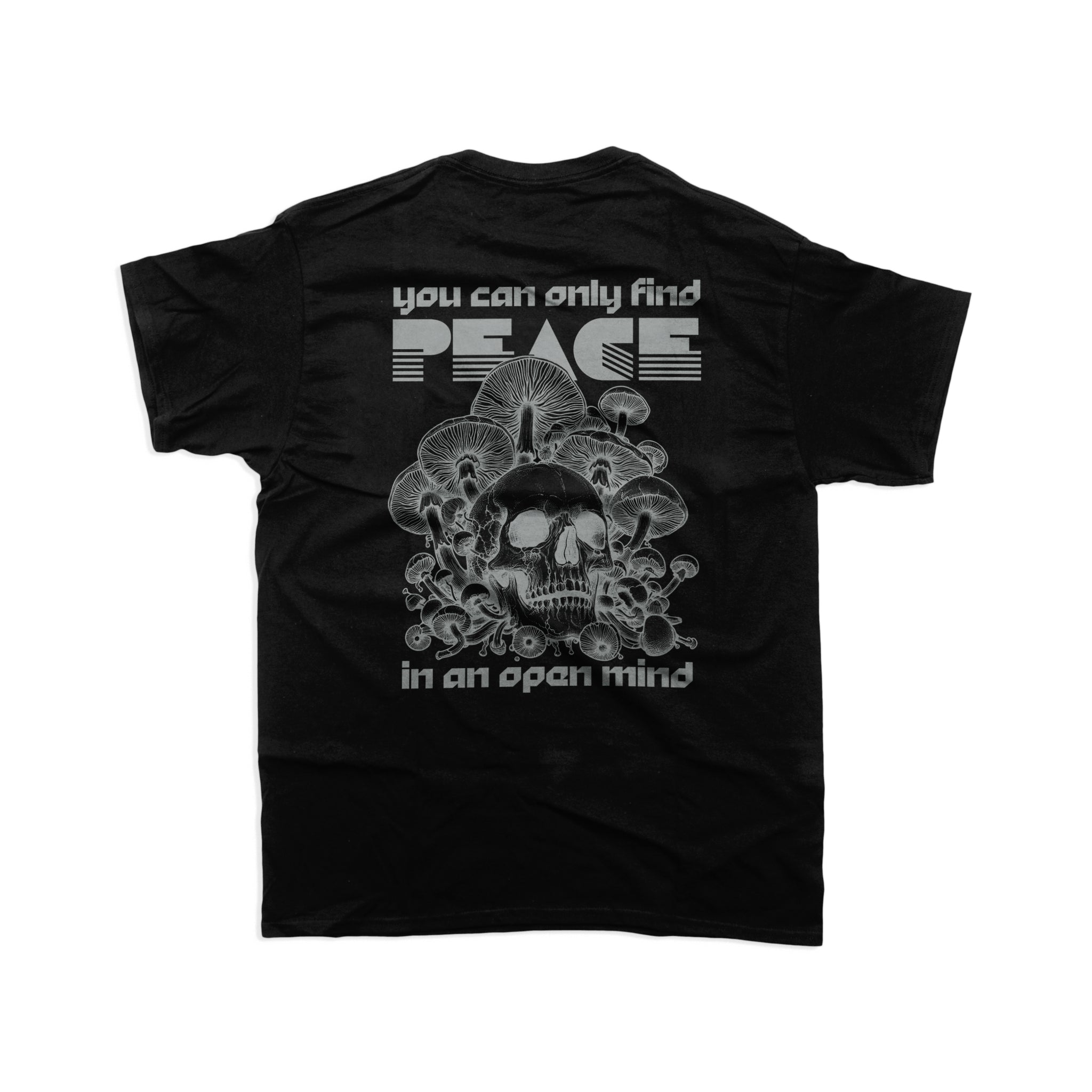 T74 / Open mind